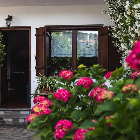 度假居 Summer House